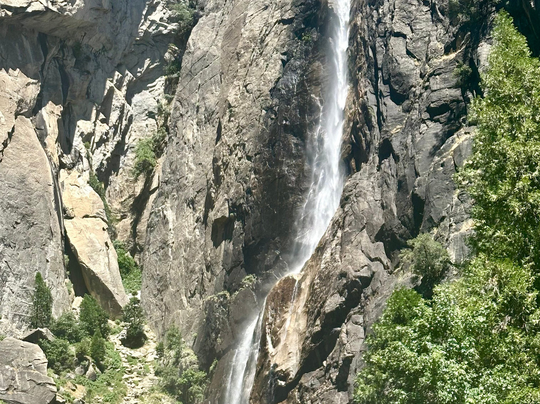 Lower Yosemite Fall Trail-优胜美地国家公园必去景点