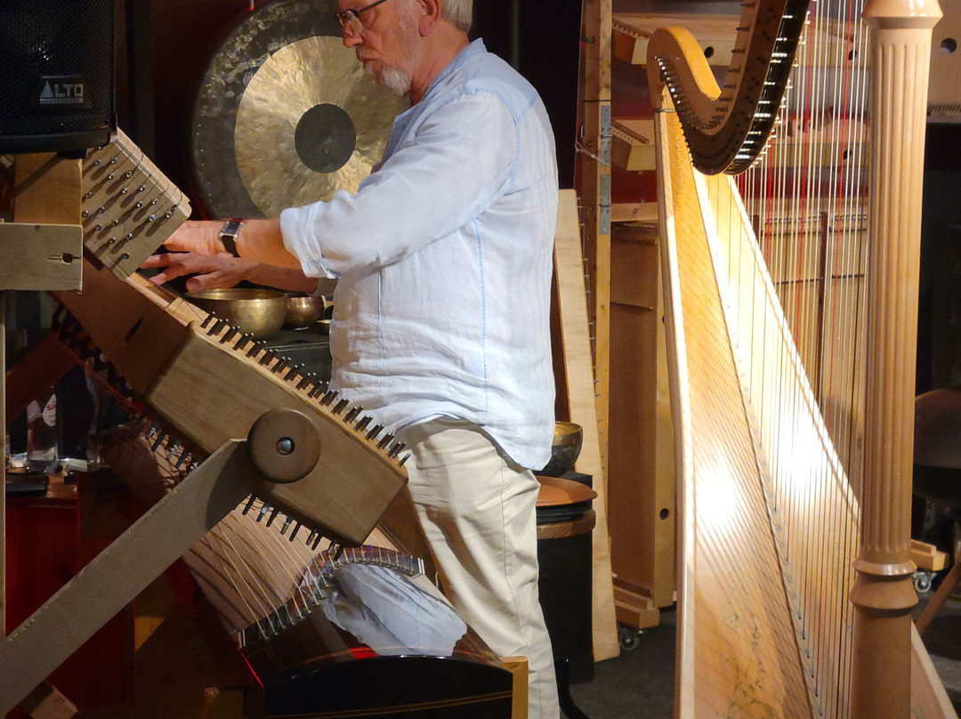 Luc Vanlaere Harpist - Harp Museum-布鲁日必去景点