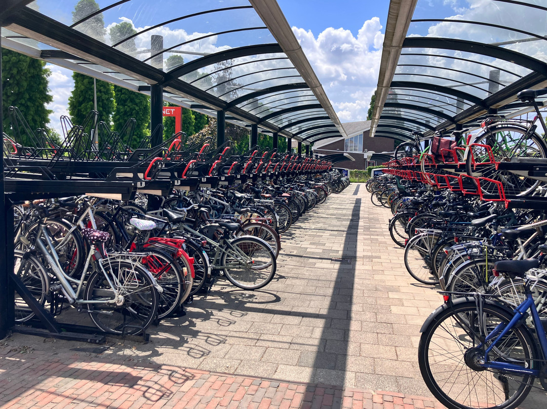 Holland Bike Tours-哈勒姆必去景点