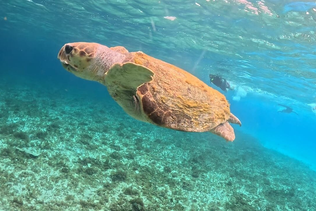 Playa El Cielo Cozumel-考祖梅必去景点