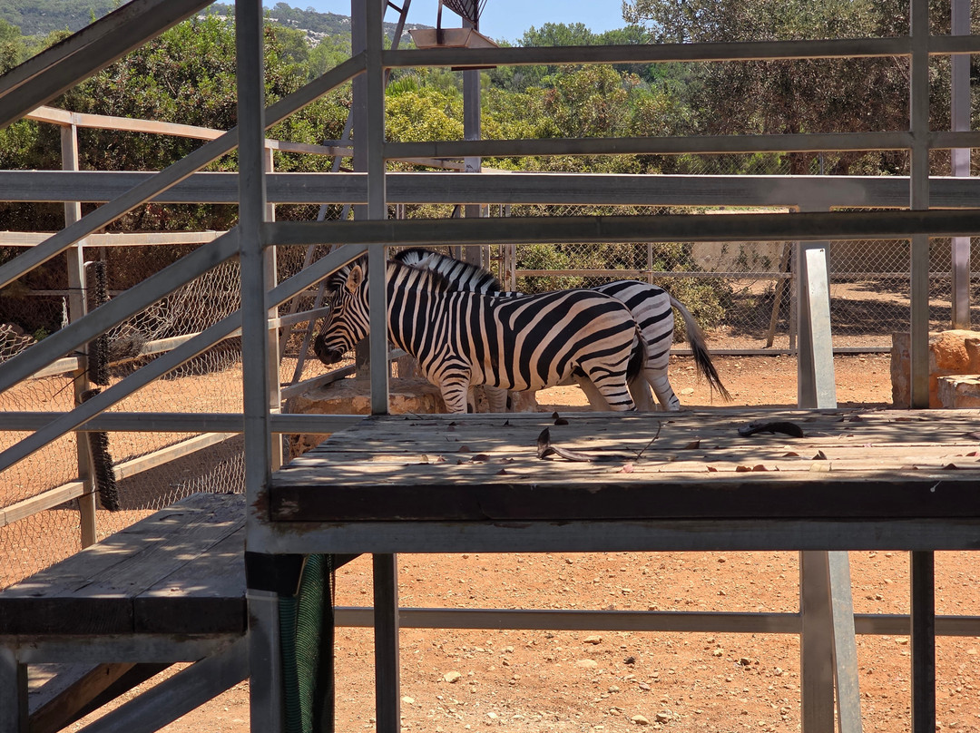 Pafos Zoo-帕福斯必去景点