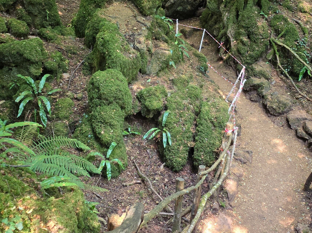 Puzzlewood-Coleford必去景点