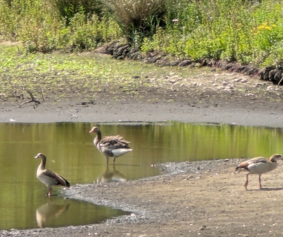 Pensthorpe-Fakenham必去景点