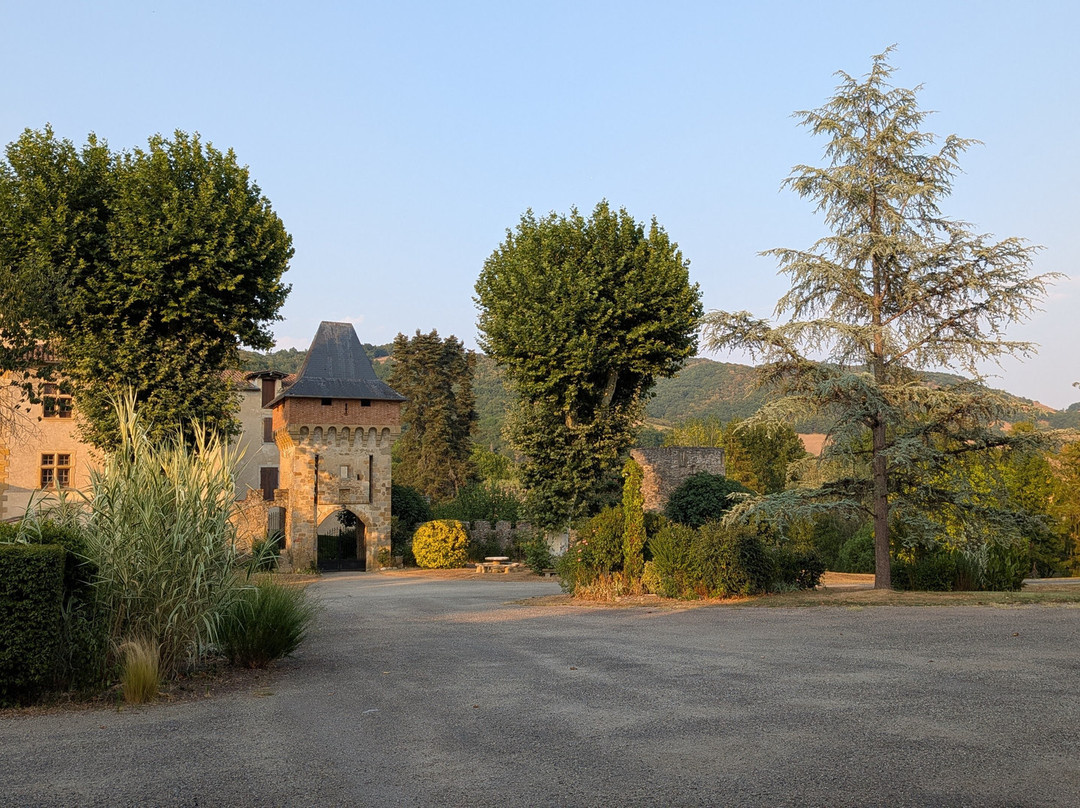 Chateau de la Hille主图