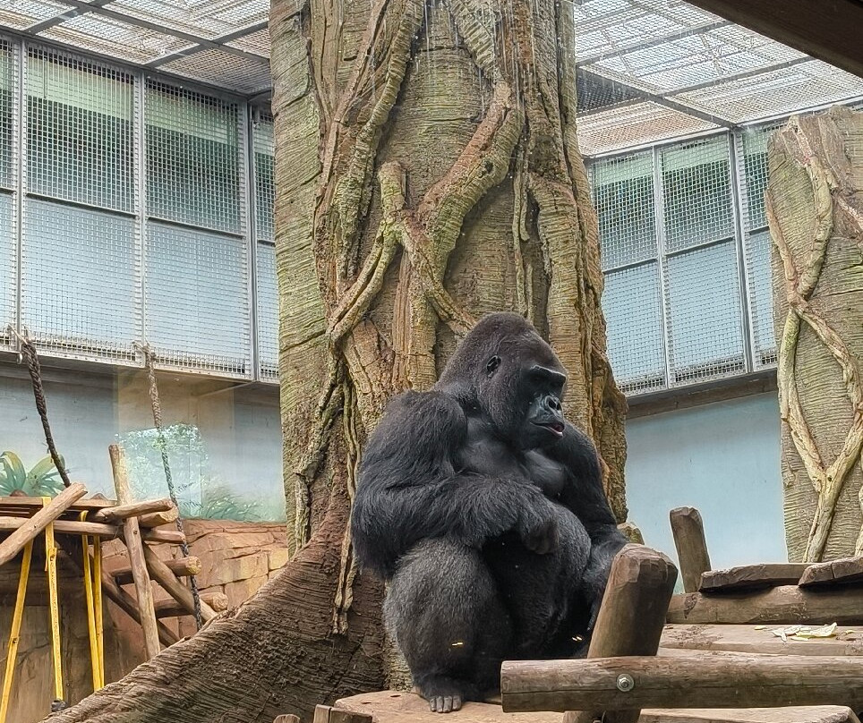Zoo D'Amneville-昂内维尔必去景点