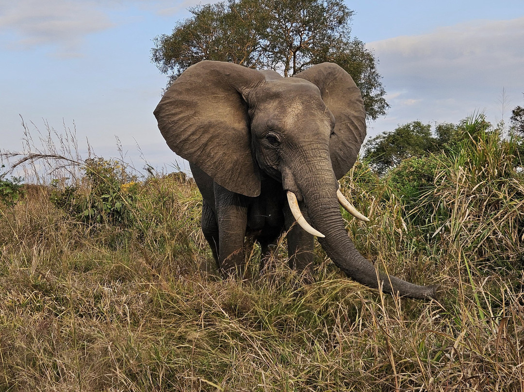 Passionate Safaris