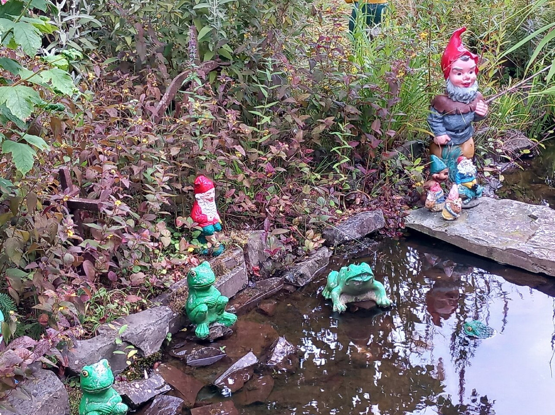 The Gnome Reserve-West Putford必去景点