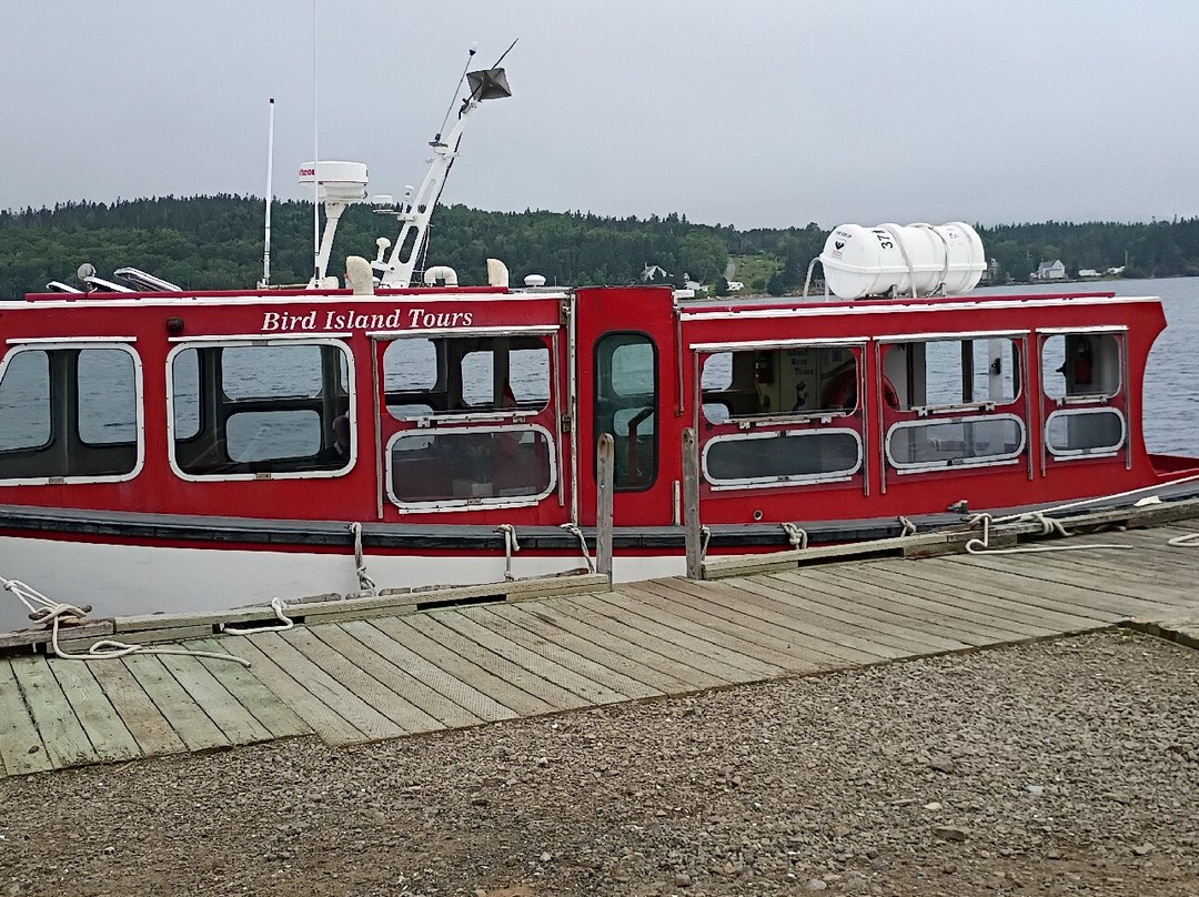 Bird Island Boat Tour-Big Bras d'Or必去景点