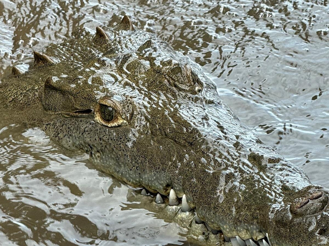Costa Rica Zone Adventures-Gulf of Papagayo必去景点