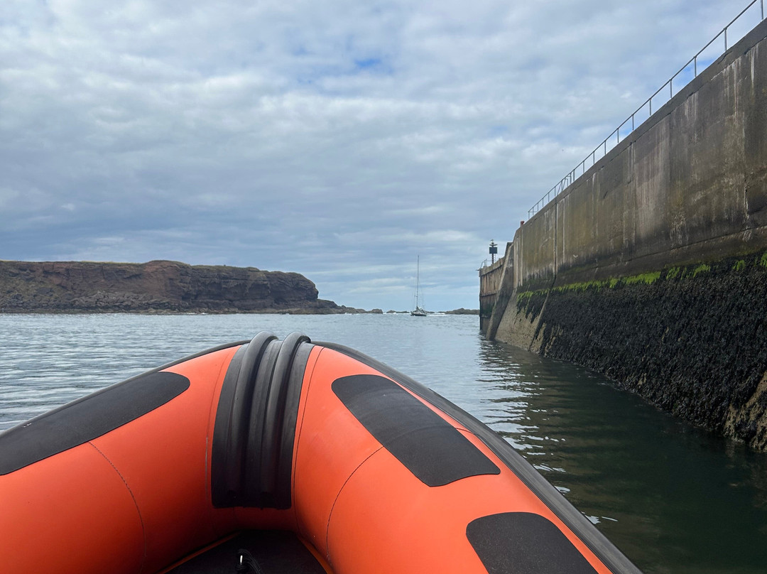 Eyemouth Rib Trips-Eyemouth必去景点