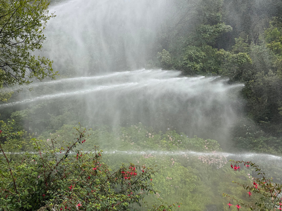 Glen Lyn Gorge-林茅斯必去景点