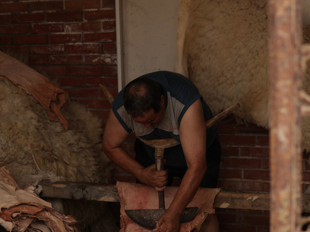 Tanneries of Tetouan-Tetouan必去景点
