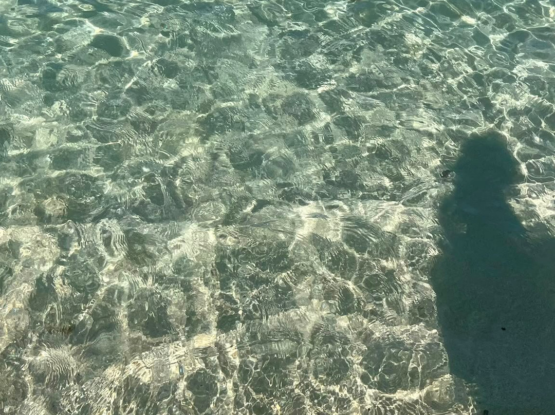 Fig Tree Bay Beach-普它肋斯必去景点