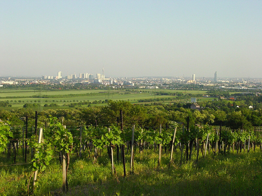 Weinhandwerk