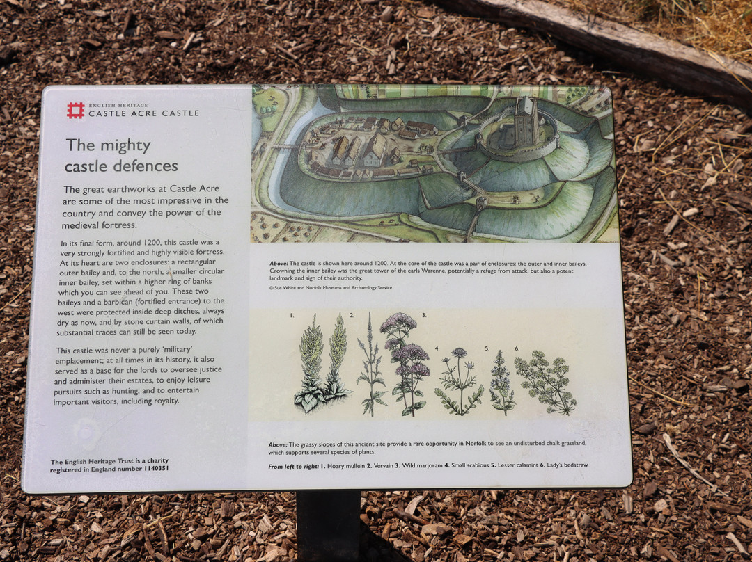Castle Acre Castle-Castle Acre必去景点