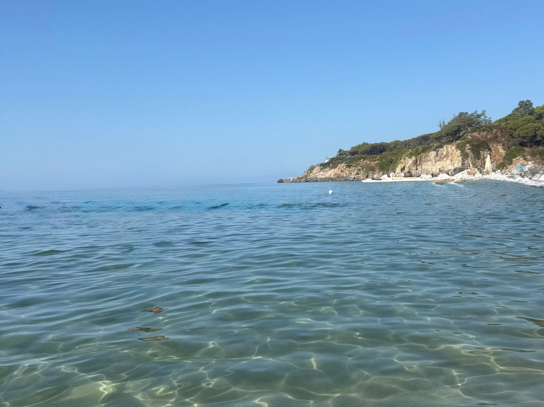 Spiaggia di Cavoli-Marina di Campo必去景点