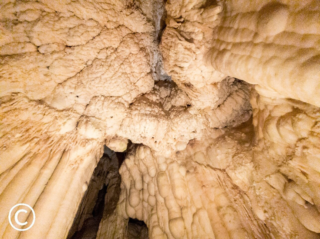 Grotte di Toirano-Toirano必去景点