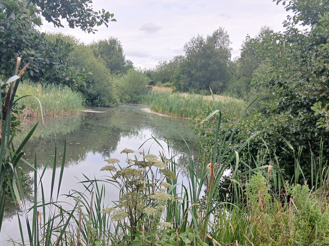 Redwings Aylsham-Aylsham必去景点