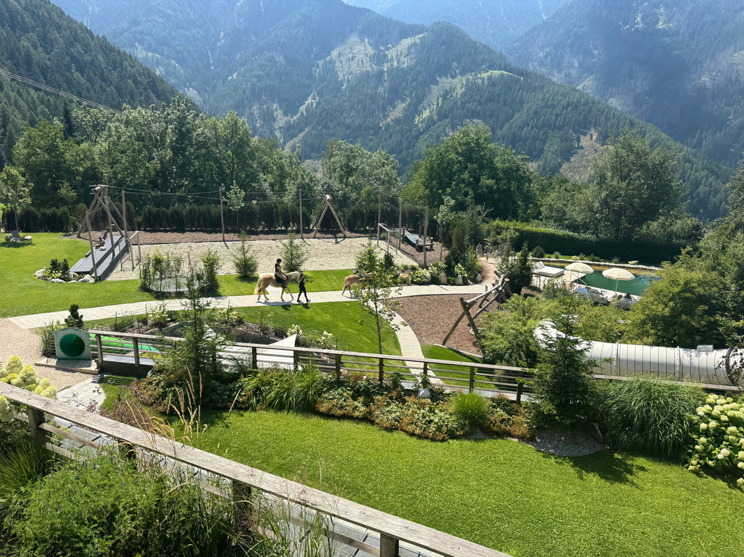 Familyhotel Sonnwies Dolomites主图