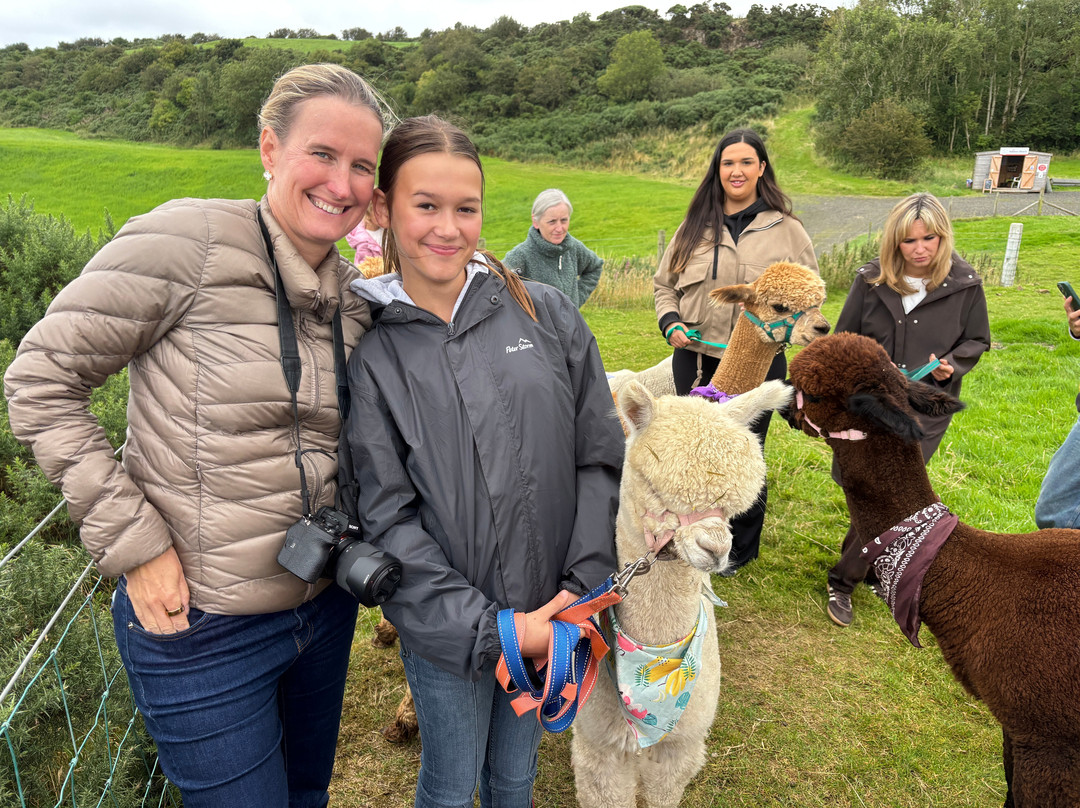 North Coast Alpacas