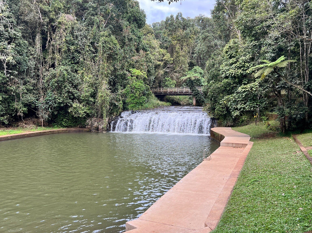 Malanda Falls-马兰达必去景点