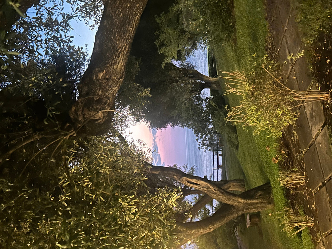 Villaggio degli Olivi主图