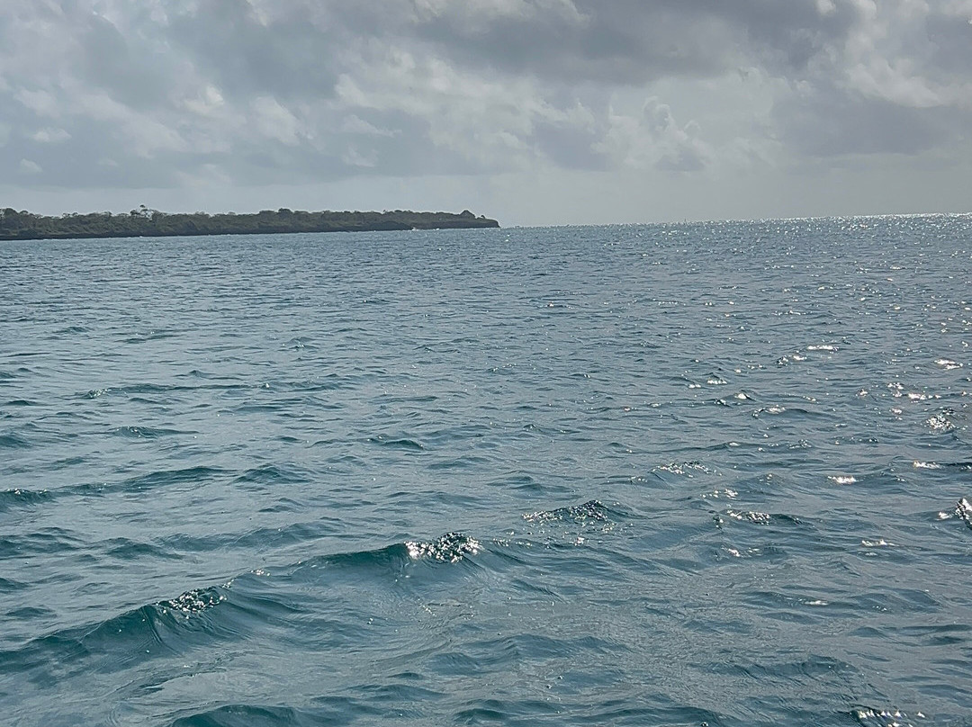 Wasini Trips-Wasini Island必去景点