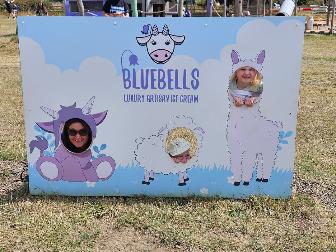 Bluebell Dairy Farm-德比必去景点
