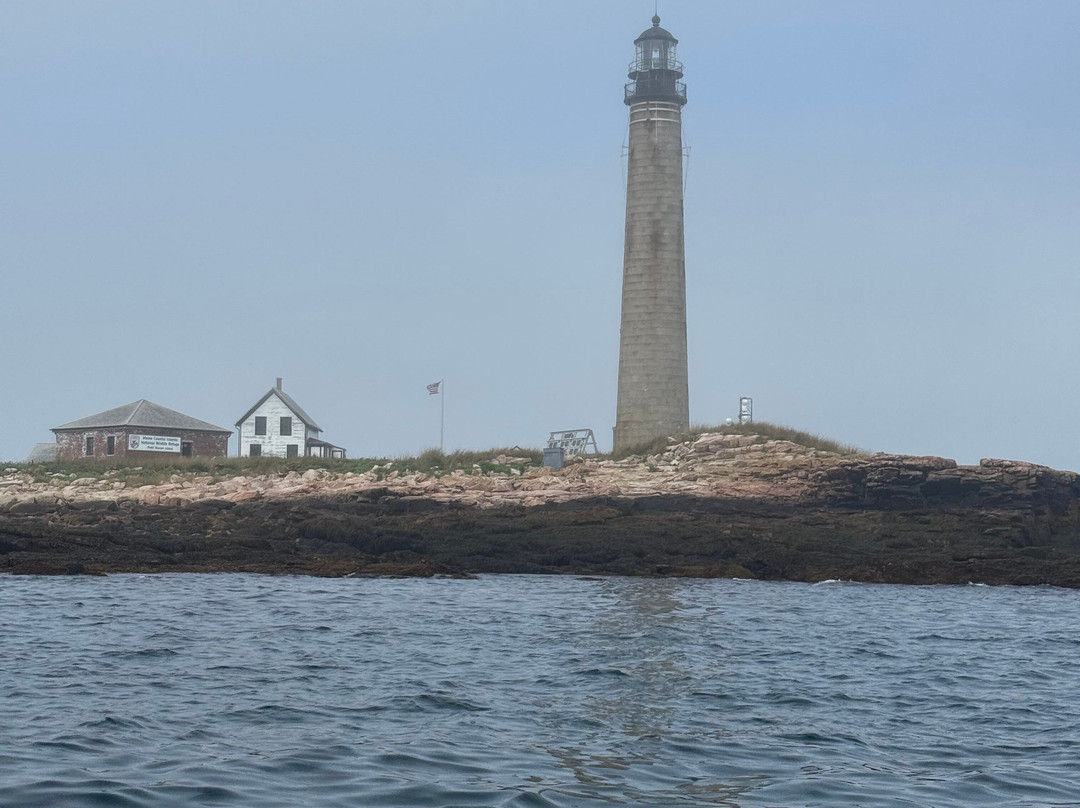 Robertson Sea Tours & Adventures-Milbridge必去景点