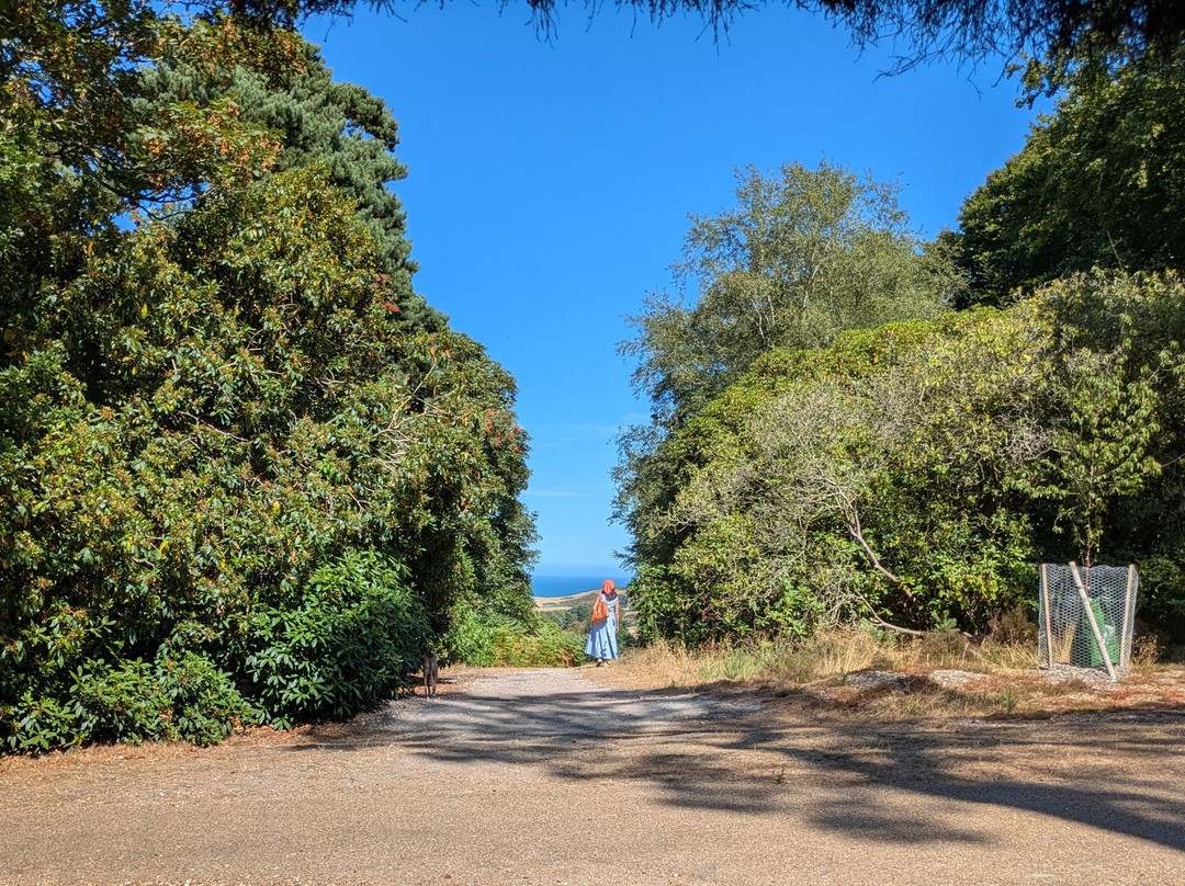 Sheringham Park-Sheringham必去景点