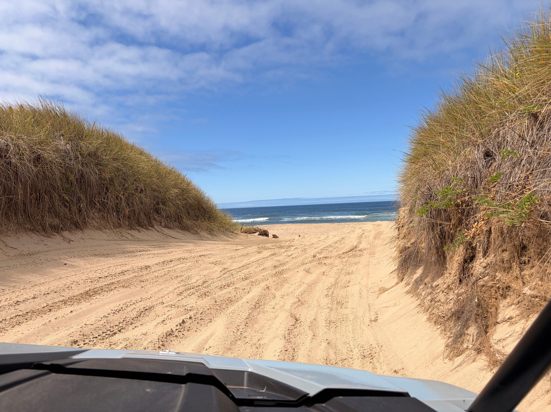 Spinreel Dune Buggy and ATV Rental-Lakeside必去景点