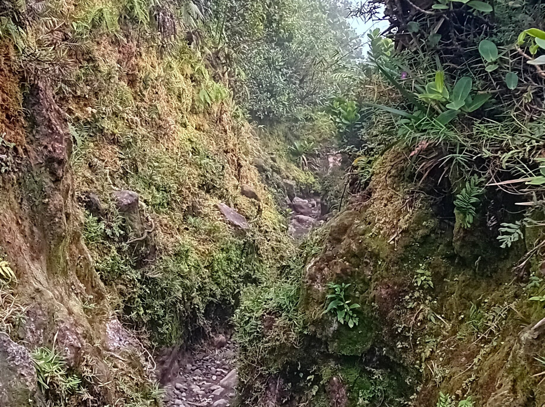La Soufriere Volcano-Saint-Claude必去景点