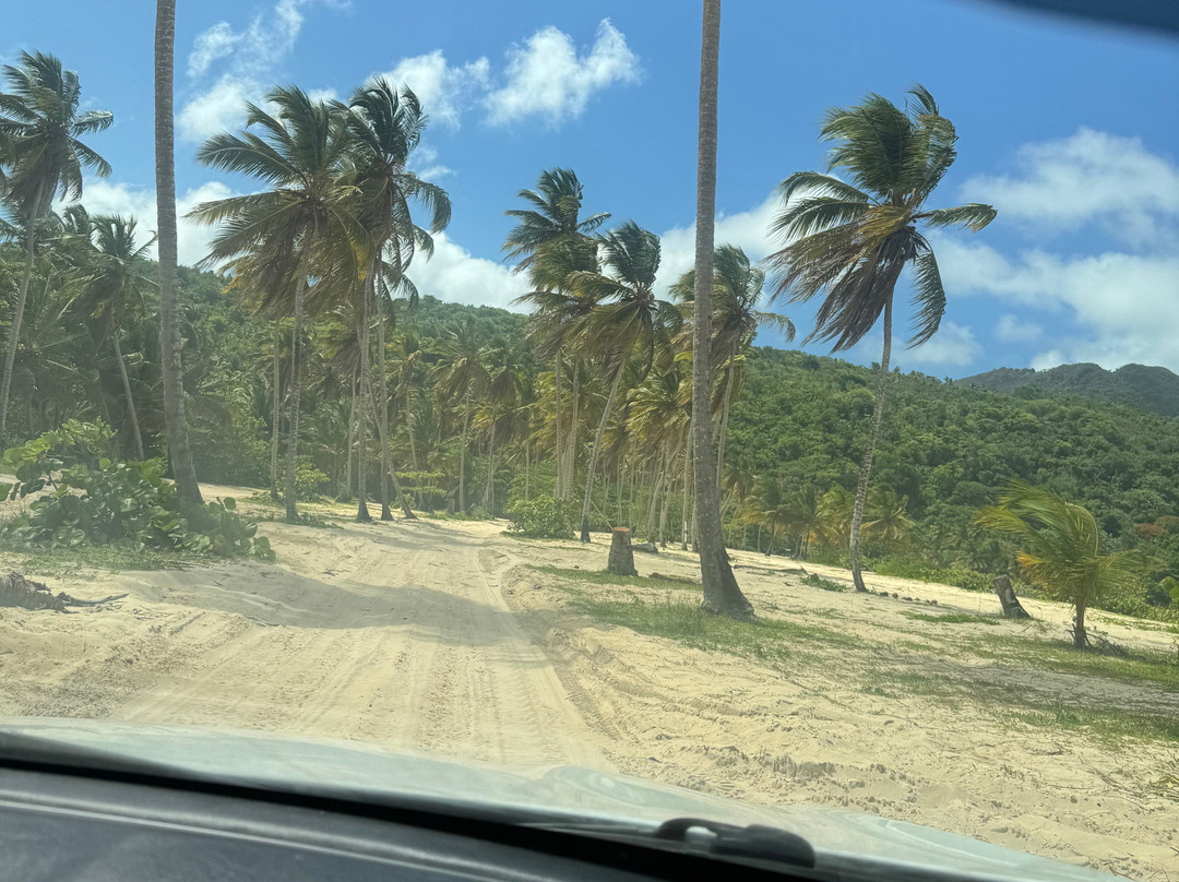 Gregory Tours Samana-Santa Barbara de Samana必去景点