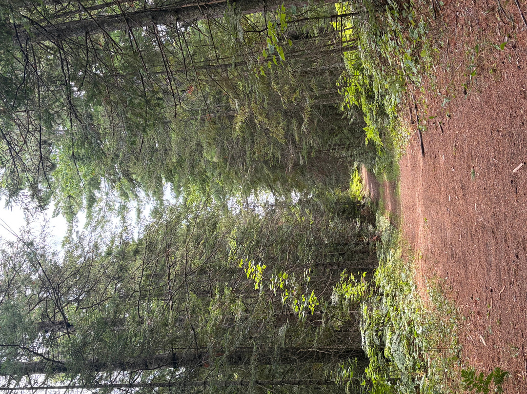 Wilderness State Park-Carp Lake必去景点