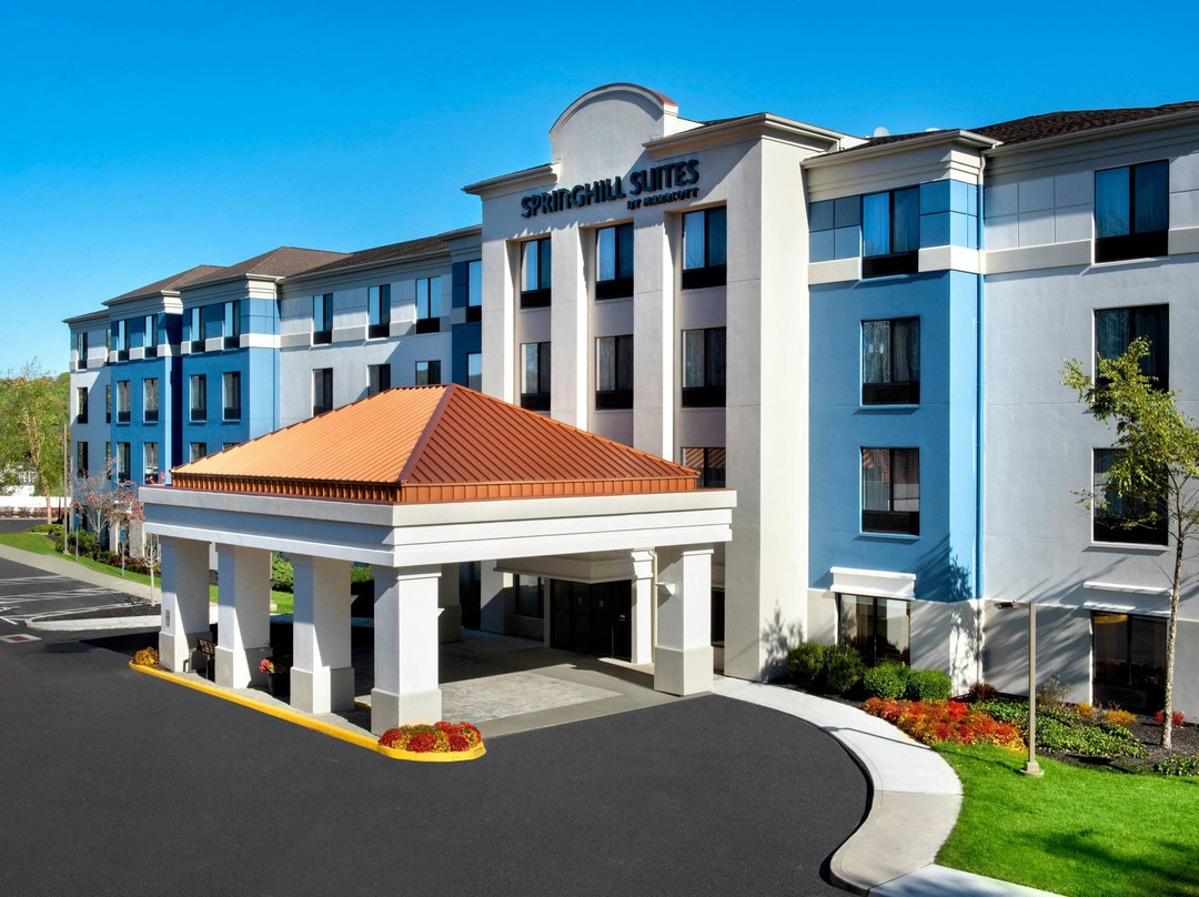 North Salem酒店住宿-SpringHill Suites by Marriott Danbury
