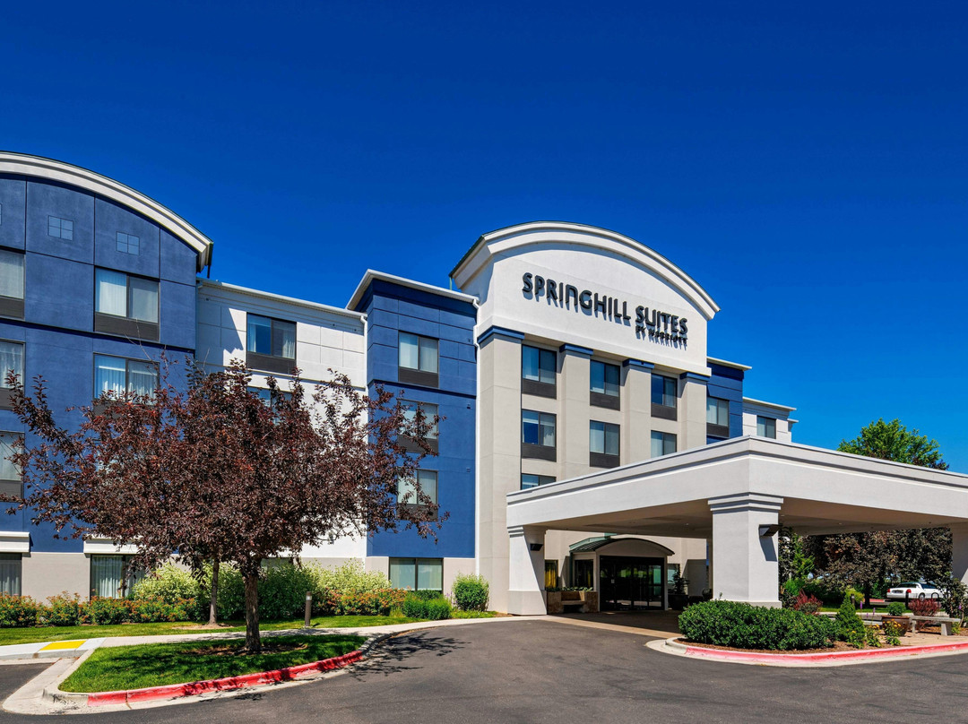 SpringHill Suites酒店博伊西西部/伊格尔