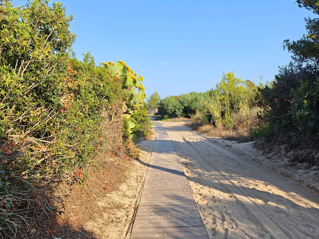 Spiaggia di Foxi Manna-Marina di Tertenia必去景点