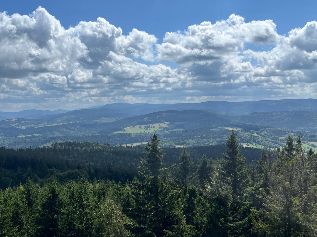 Borůvková hora Lookout-Javornik必去景点