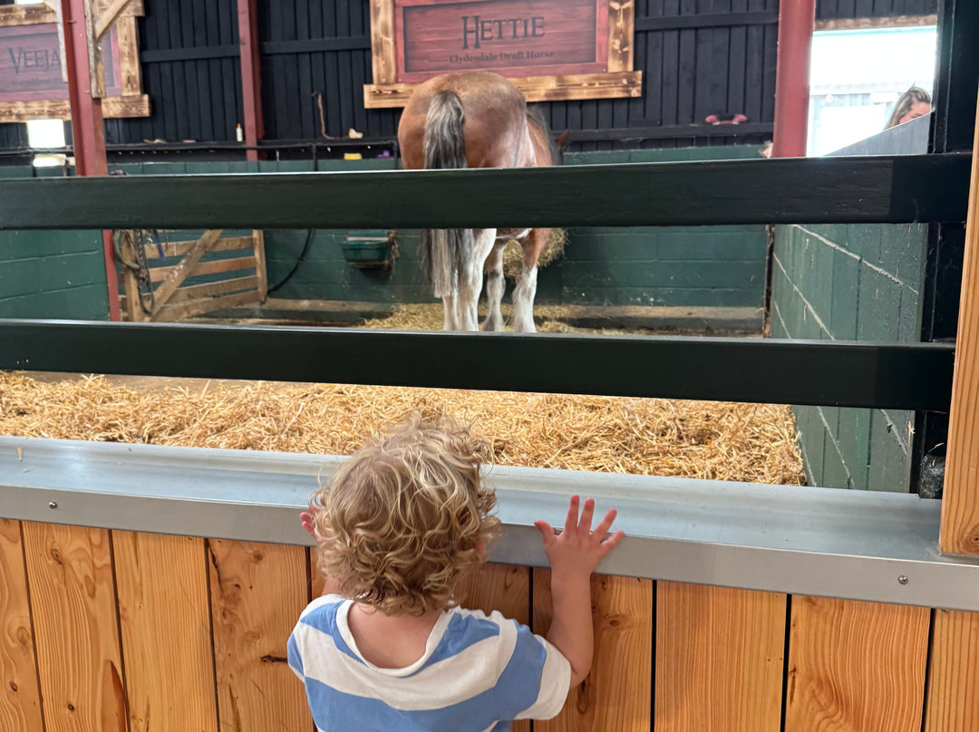 Farmer Teds Adventure Farm-Ormskirk必去景点