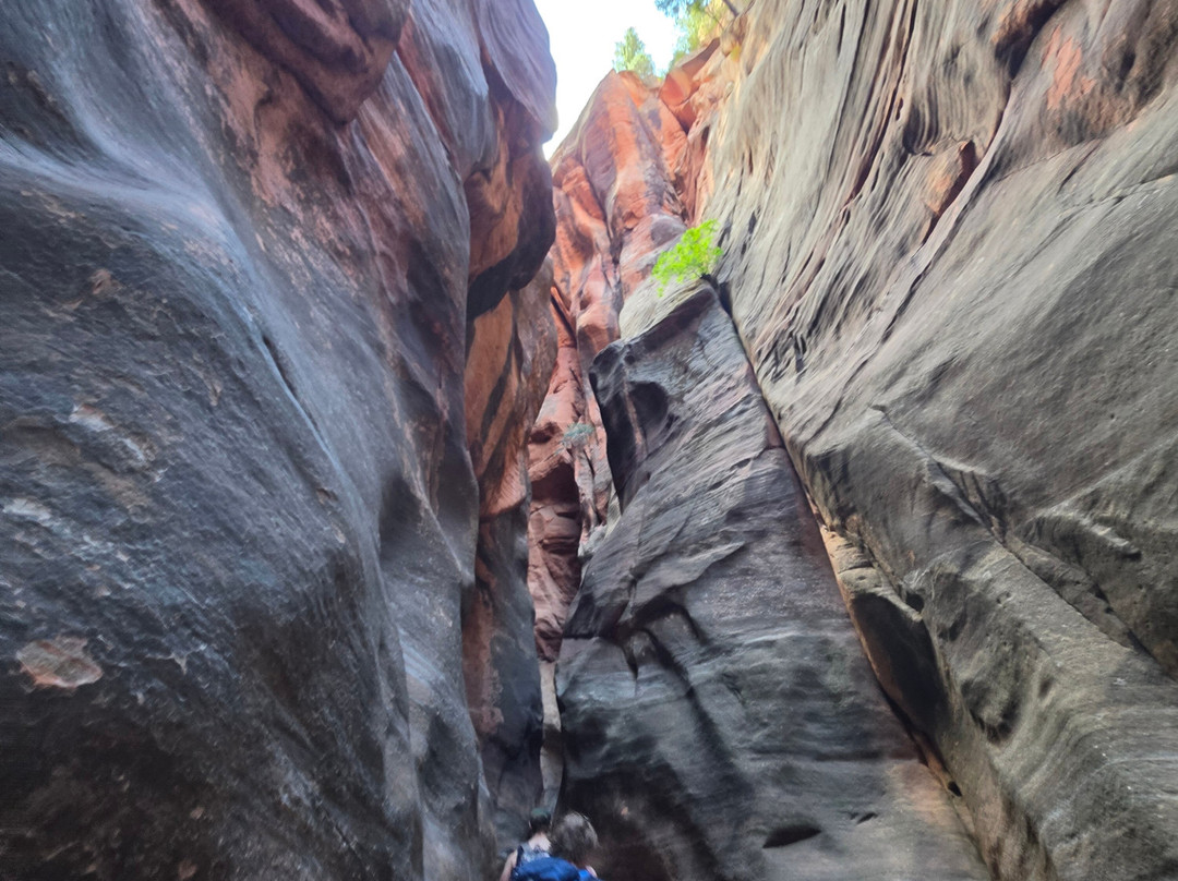 Kanarra Falls-Kanarraville必去景点