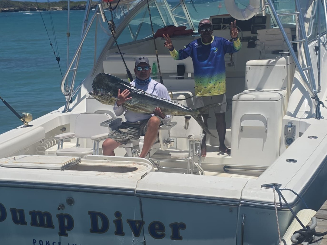 Mahi Mahi Fishing Tours - Private Charters-普拉塔港必去景点