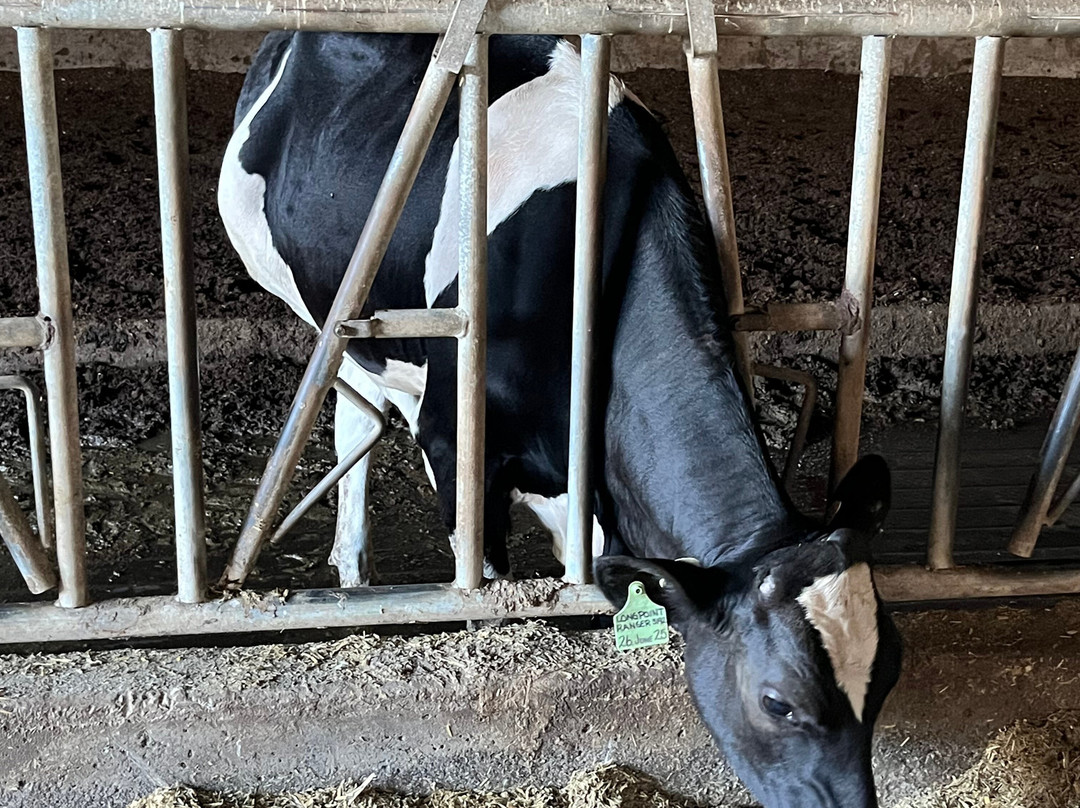 Birchwood Dairy Farm-阿伯茨福德必去景点