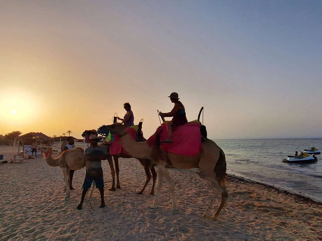 Seabel Rym Beach Djerba主图