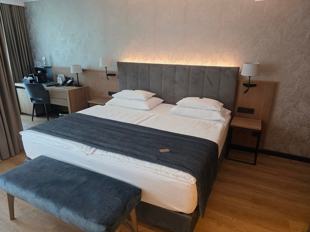 地拉那罗格纳酒店主图