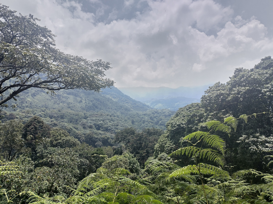 Trek Rwenzori Tours-Fort Portal必去景点