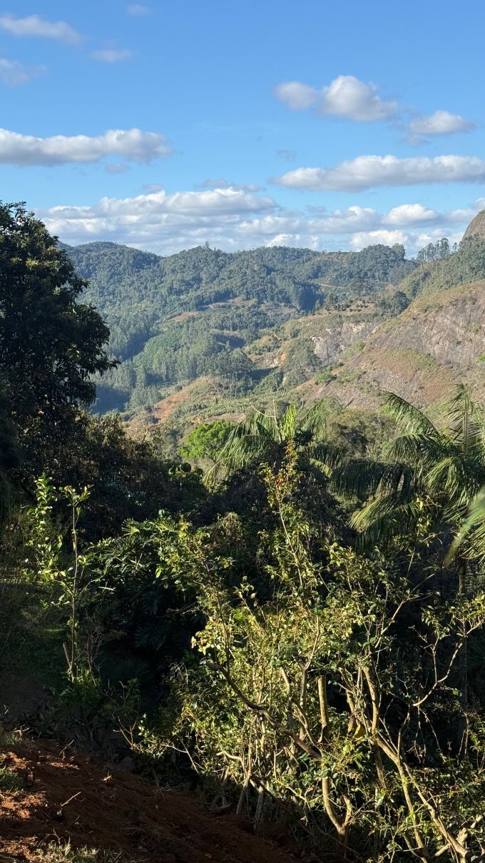 Pousada Altoé da Montanha-旅行者