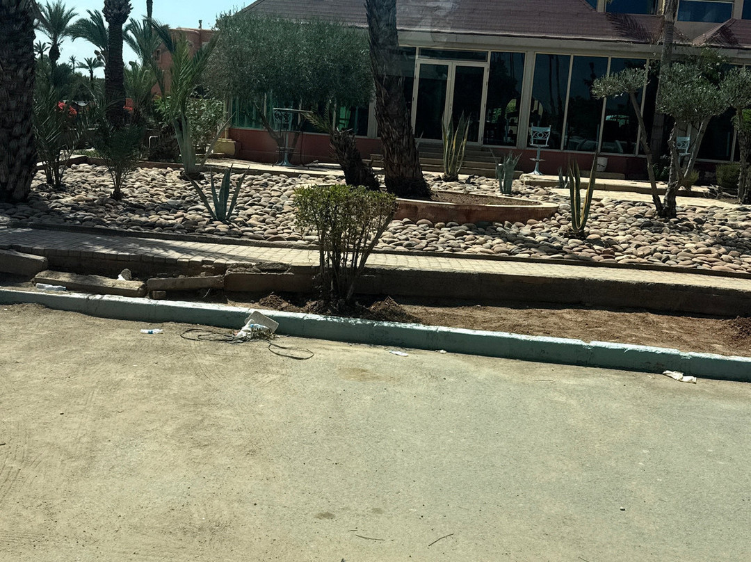 Pickalbatros高尔夫酒店 - 仅限16岁以上成人 - 全包主图