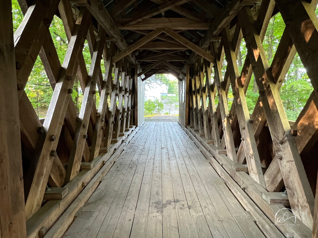 Tannery Hill Bridge-吉尔福德必去景点