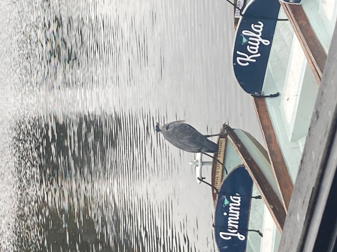 Marigold Cafe and Boat Hire-Knaresborough必去景点