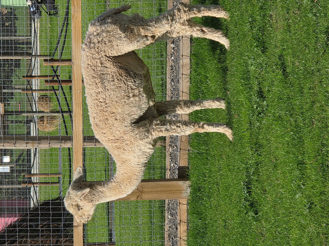 Monk Park Farm-Bagby必去景点